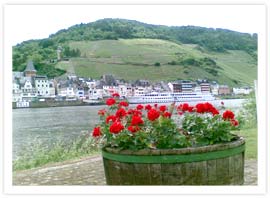 Mosel Mosel